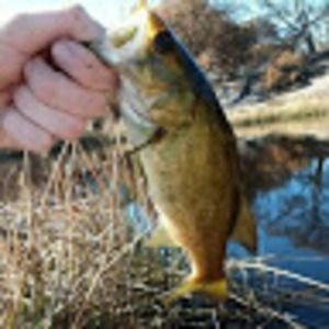 Meet your Posher, Tucker